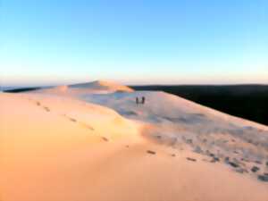 Visite guidée de la Dune du Pilat