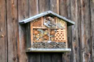 photo Une maison pour nos amis les insectes