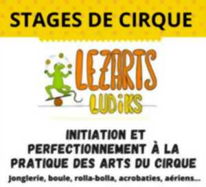 photo Atelier de cirque avec Lezarts Ludiks