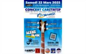 photo Concert caritatif trisomie 21