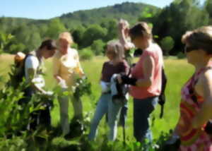 photo Sortie nature : 