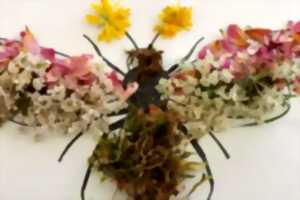 Animation Nature - Art et Nature - Limoges