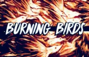 photo Burning Birds en concert