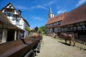 Visite guidée de la Maison Rurale de l'Outre-Forêt