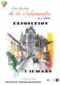 Exposition - Sur les pas de la Salamandre