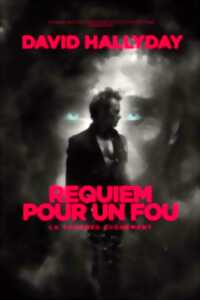 photo CONCERT - DAVID HALLYDAY : REQUIEM POUR UN FOU