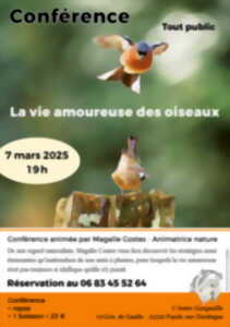 photo Conférence - La vie amoureuse des oiseaux