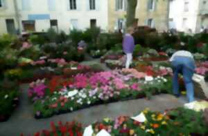 Grand marché aux fleurs