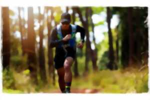 photo Conférence - Découvrir les forêts en trail-running avec la naturopathie