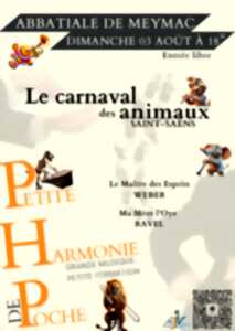 photo Le carnaval des animaux Saint-Saëns