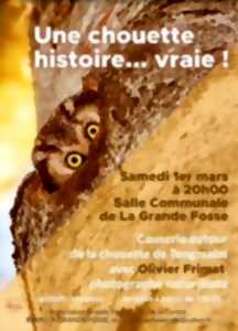 photo UNE CHOUETTE HISTOIRE... VRAIE !