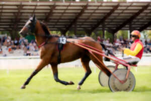 photo Courses hippiques Trot/Obstacle