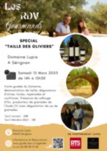 photo LES RDV GOURMANDS AU DOMAINE LUPIA - SPÉCIAL TAILLE DES OLIVIERS