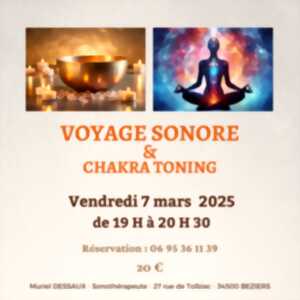 photo VOYAGE SONORE ET CHAKRA TONING