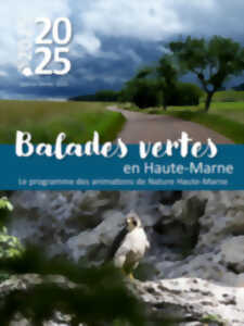 BALADES VERTES EN HAUTE-MARNE : THERAPEUTIC NATURE - FOR BODY AND MIND