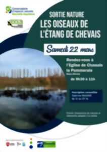 Sortie Nature : les oiseaux de l'étang de Chevais