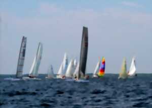 Femmes à la barre - Régate de catamarans - organisée par CVBCM