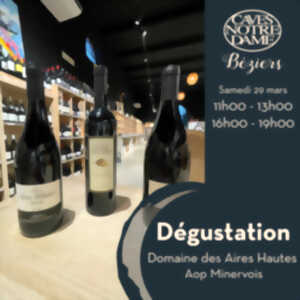 photo DEGUSTATION DES VINS DU DOMAINE DES AIRES HAUTES