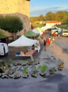 Marché à Saint Genest Sur Roselle