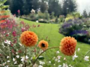 Atelier jardinage : Création de magnifiques potées estivales