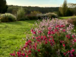 photo Atelier jardinage : Cultivez son jardin avec la nature