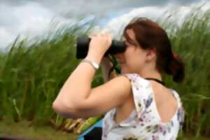 photo Animation nature « Ça bouge dans la mare »