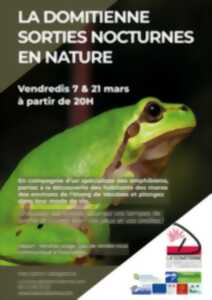 SORTIE NOCTURNE EN NATURE