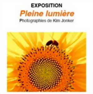 EXPOSITION PLEINE LUMIÈRE, PHOTOGRAPHIES DE L'ASSADINE KIM JONKER