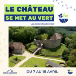 Le château se met au vert