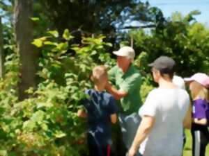 photo RDV Jardins - Natur'Pom