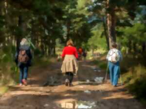 Sortie avec le Club Vosgien du Kochersberg : Le Sentier des Géants, Lutzelhouse