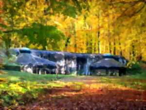 Visite insolite : Les secrets du Fort de Schoenenbourg