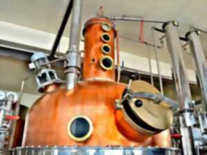 Visite guidée privée premium de la distillerie