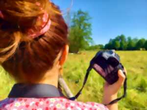 photo Concours photos et exposition dans le parc du château