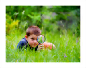 photo SORTIE NATURE - LES PETITS AVENTURIERS