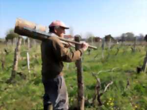 Le travail de la vigne et ses outils d'antan présentés par François