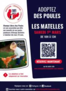 ADOPTEZ DES POULES