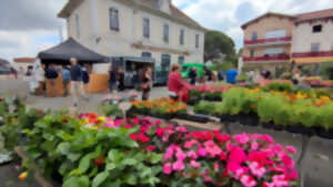 photo Marché aux plants, graines et arbustes