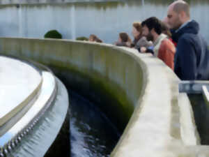 Visite station d’épuration « la Grange David »