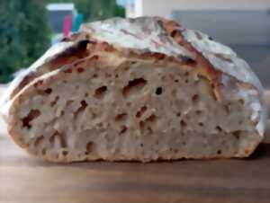 Atelier - pain au levain sans pétrissage