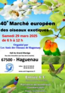 photo 40e marché européen des oiseaux exotiques