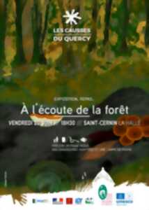 À l'écoute de la forêt