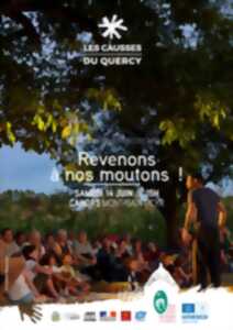 photo Revenons à nos moutons !