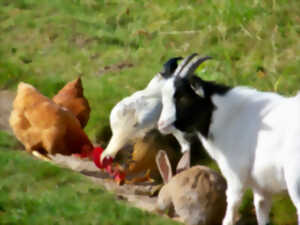 photo Chasse aux œufs du Schallern