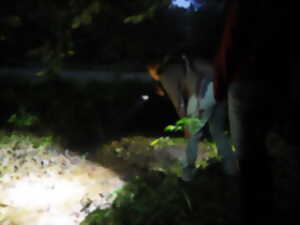 Rand'eau nocturne dans la vallée de la Souleuvre