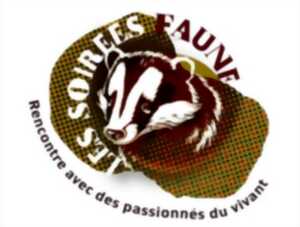 photo Soirée faune :