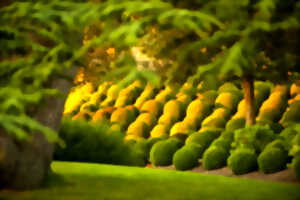 Les petits déjeuners “Réveils-jardin” au château royal d'Amboise