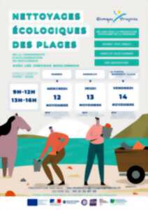 Rivage propre : Nettoyages écologiques des plages avec les chevaux boulonnais