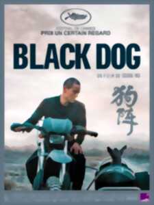 photo Cinéma - Black Dog