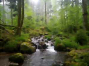 Balade des cascades – Au rythme de l’eau - Nouveauté !